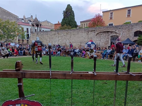 Aloja. Fantastic Medieval Fair