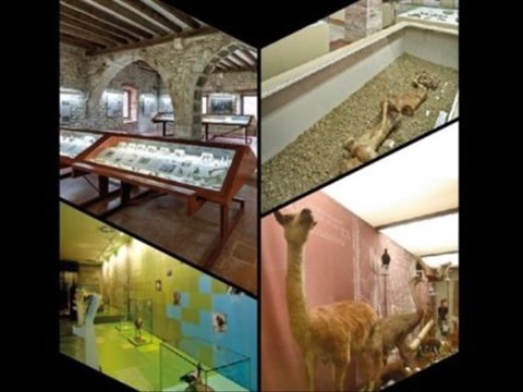 Portes obertes als museus de Banyoles