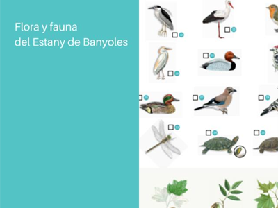 Flora y fauna del Estany de Banyoles
