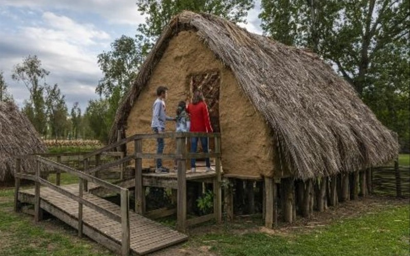 Parc Neolític de la Draga - guided visit