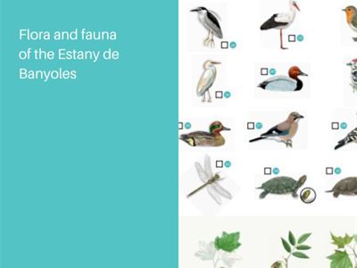The flora and fauna of the Estany de Banyoles